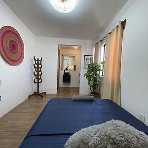 Casa Jaguares